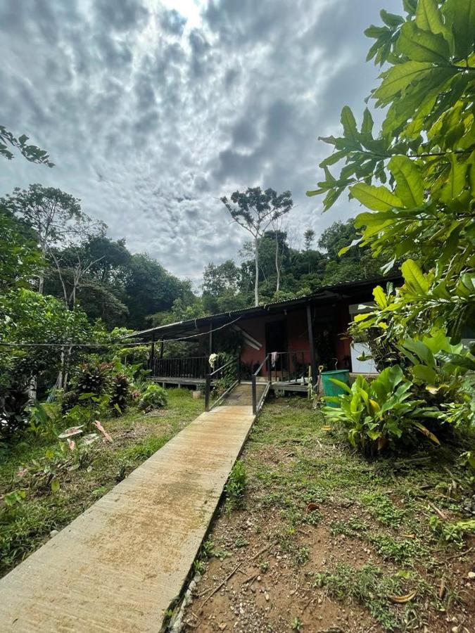 Posada Don Juan Drake Bay Ngoại thất bức ảnh